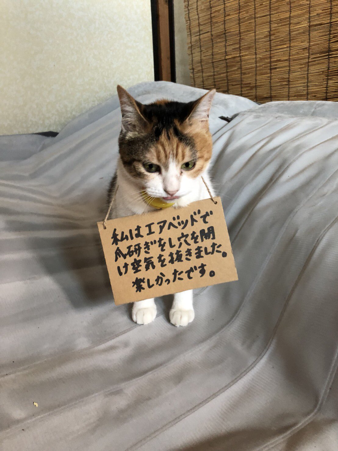 萬福食堂 反省中の写真が送られてきた T Co 4ermwtnrls Twitter