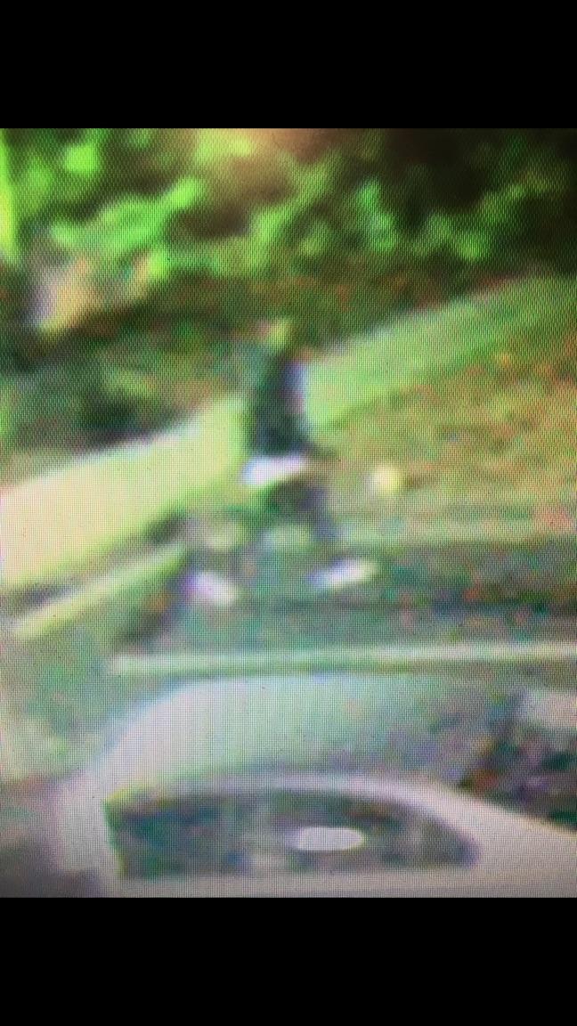 Jaclyn Schultz tweet media