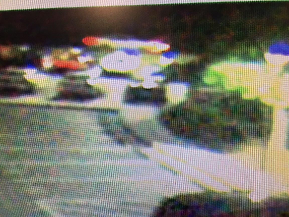 Jaclyn Schultz tweet media