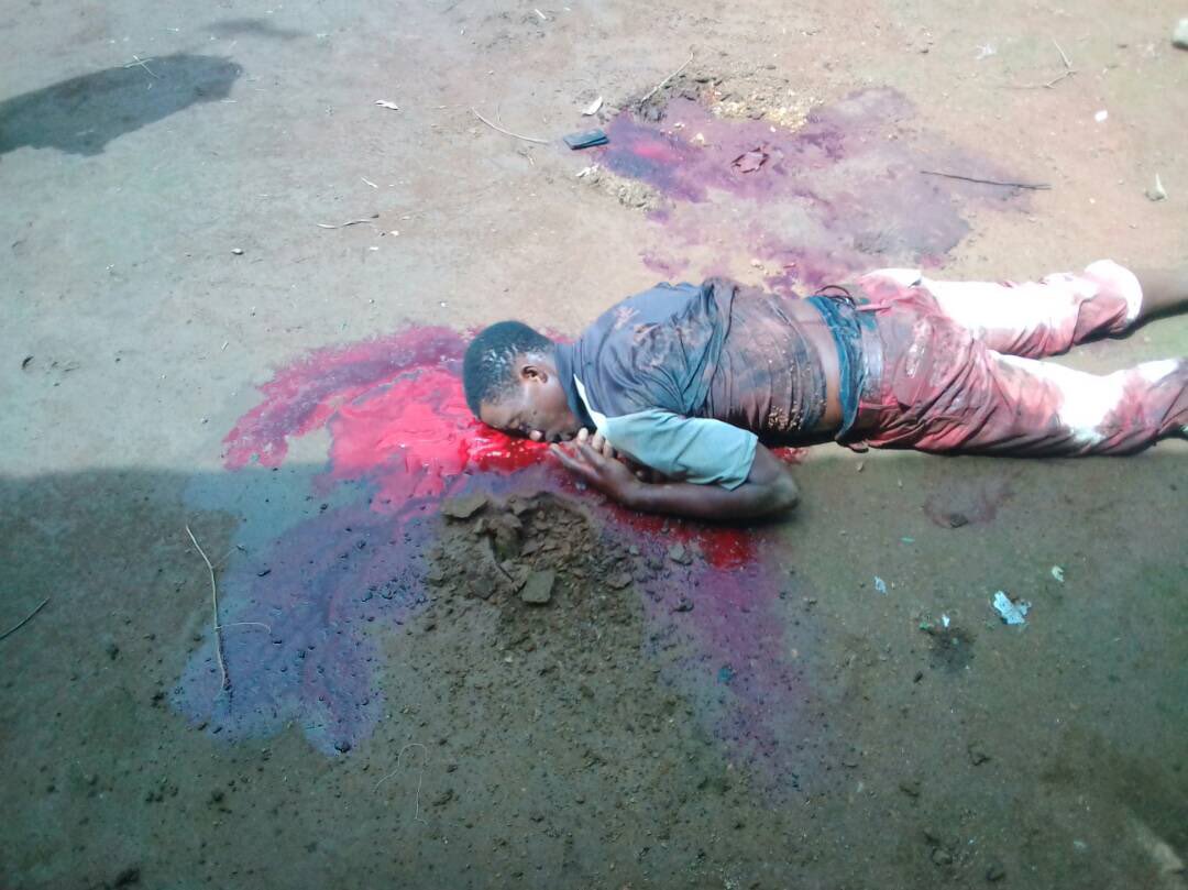 SamuelSako's tweet photo. #PaulBiya the King of GENOCIDE continues to rain down havoc on innocent civilians in #Ambazonia while the @UN and world Leaders looks on @BBCBreaking @innercitypress @realDonaldTrump @NPR @washingtonpost @BBCHARDtalk @SenJohnMcCain @RFI @Premiertimes https://t.co/GIcnacCkL3