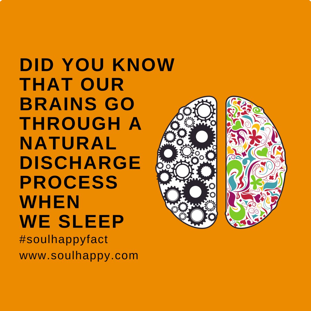 wesoulhappy's tweet photo. SOUL HAPPY FACT - Did you know that our brains go through a natural discharge process when we sleep? Your brain is powerful! Follow us for more #FACTS#motivation #empower #motivational #inspirationalquotes #yoga #mindfulness #mind #yoga #liveintheknow #vegan #organic #healing https://t.co/1YJ3dS08jm
