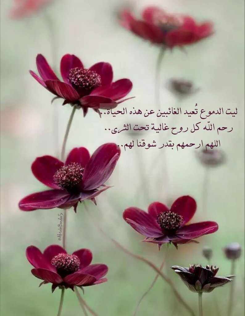 #ساعة_استجابة #الجمعه #دعاء_للاموات #يوم_الجمعه
ليت الدموع تُعيد الغائبين عن هذه الحياة..
رحم الله كل روح غالية تحت الثرى..
اللهم ارحمهم بقدر شوقنا لهم..

<a href="/misferalassaf/">صدقة جارية للمرحوم مسفر العتيبي</a> <a href="/mosem01/">صدقة جاريه للمرحوم موسم بن عساف العتيبي</a> <a href="/aishahzwairi/">صدقةعن عايشة القثامي</a> <a href="/19Munerah/">صدقة جارية للمرحومة منيره العتيبي</a> @amtiurkyy11 <a href="/haifa2322/">صدقه لـ بدرا وفيحان وهيفاء وريم العبوّد وهيا حسين</a>