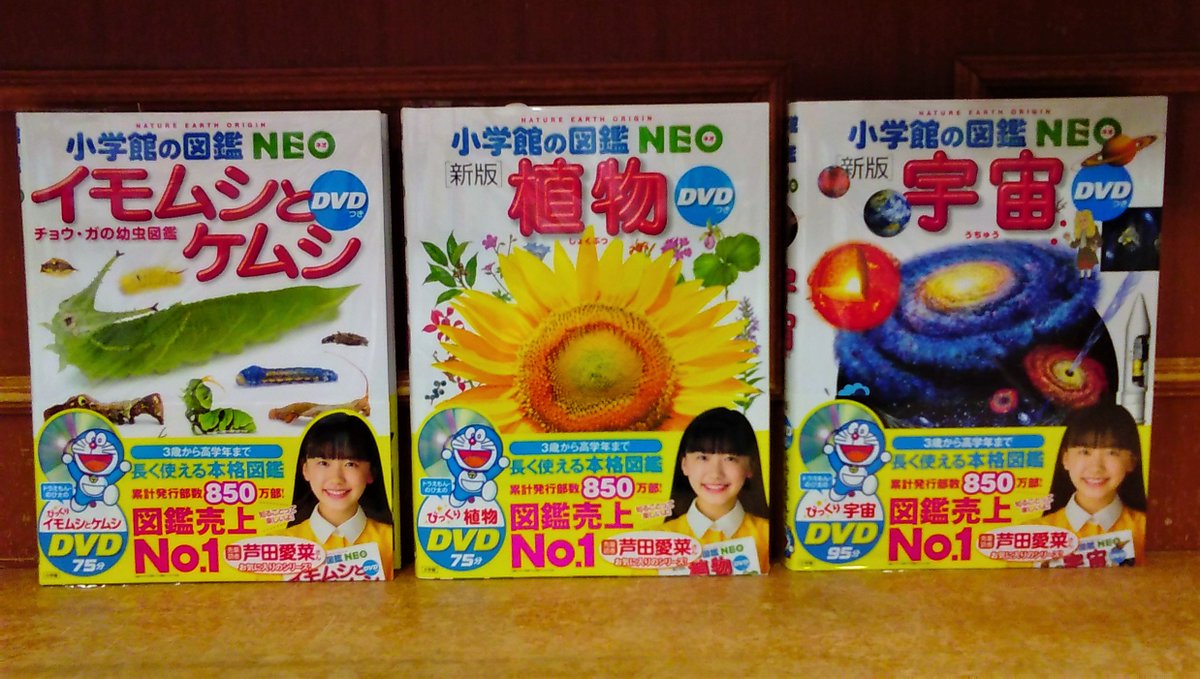 ジュンク堂書店 名古屋店 على تويتر 児童書 長く使える本格図鑑 小学館の図鑑neoシリーズ 小学館の図鑑neo 新版 植物 Dvdつき 小学館の図鑑neo 新版 宇宙 Dvdつき 小学館の図鑑neo イモムシとケムシ Dvdつき チョウ ガの幼虫図鑑 本日入荷です ジュンク堂書店 名古屋店 على تويتر 児童書 長く使える本格図鑑 小学館の図鑑neoシリーズ 小学館の図鑑neo 新版 植物 Dvdつき 小学館の図鑑neo 新版 宇宙 Dvdつき 小学館の図鑑neo イモムシとケムシ Dvdつき チョウ ガの幼虫図鑑 本日入荷です