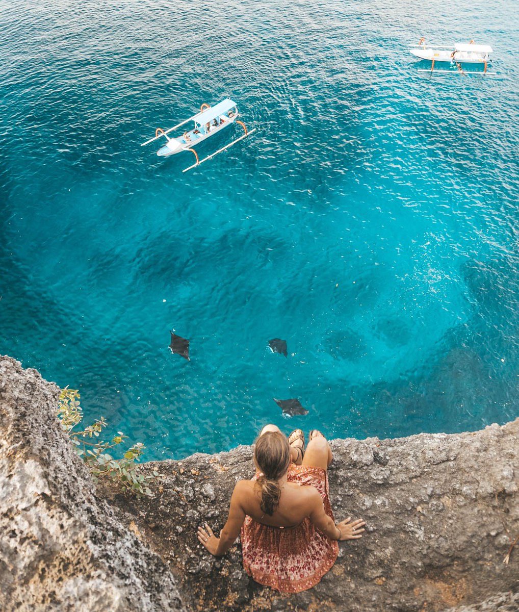 Cruising early morning to meet new friends
.
#manta  #BongHostel #lemBONGan  #EcoHostel  #ecotourism #greendesign  #naturalpool #solarpannels #traveller #backpacker  #hostelworld #nusalembongan #nusapenida #nusa #roomwithaview  #architecture #indonesia #bali 
Via Unearthwithus