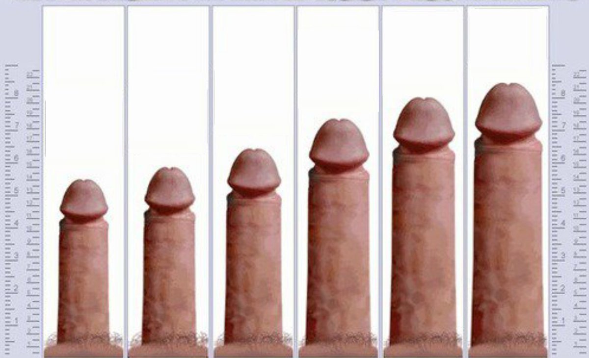 Penis sizes