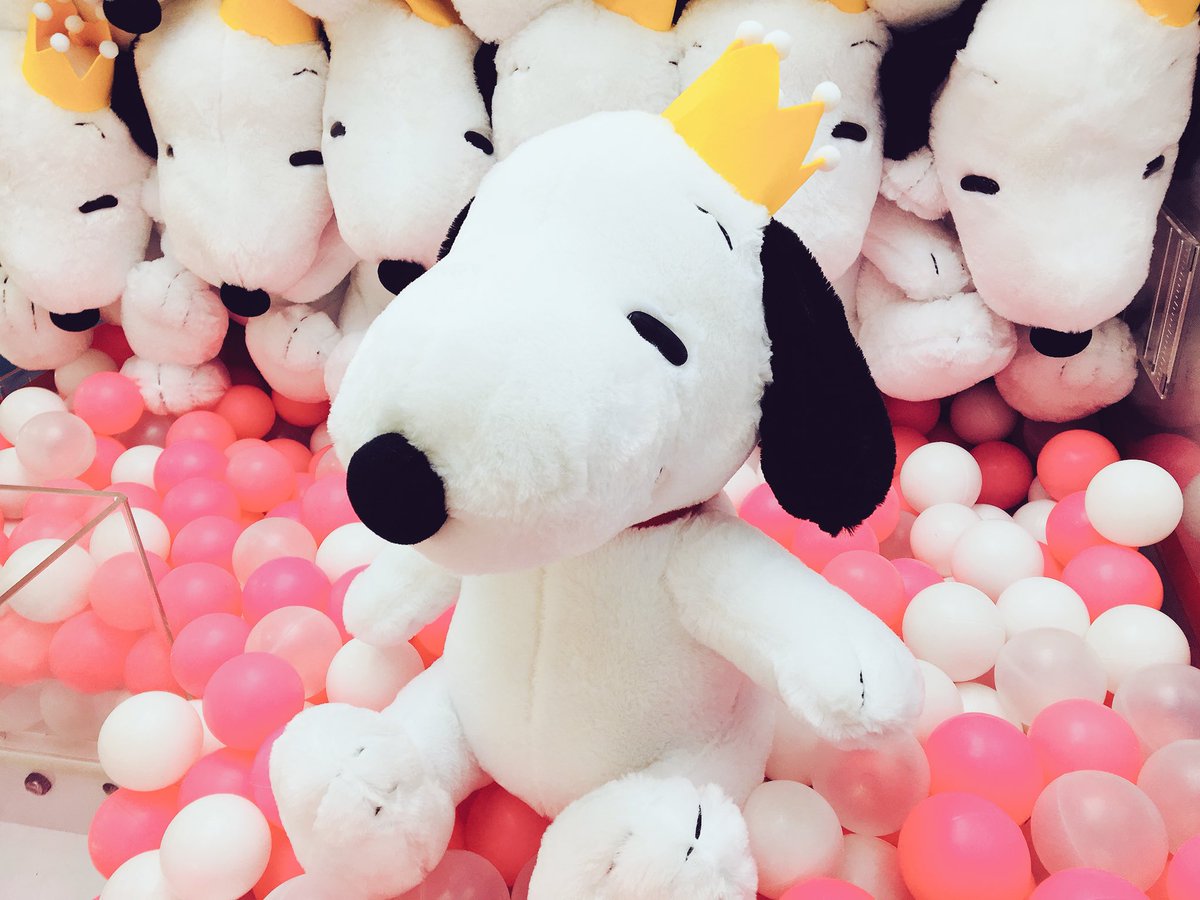 セガ旭 Sur Twitter 景品入荷情報 Snoopy Tm ギガジャンボ50周年アニバーサリーぬいぐるみ 入荷しました すっごく大きなふわふわのスヌーピーです ぜひゲットしてください セガワールド旭 スヌーピー