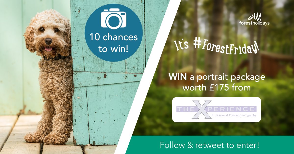 In honour of #BringYourDogToWorkDay, this #ForestFriday we've teamed up with <a href="/XperiencePhotog/">Xperience</a> to offer you the chance to #WIN one of 10 Dog Portraits sessions and a desk frame worth £175! #Follow and #RT to enter! Terms: bit.ly/FHFFterms. Closes 25/06/18