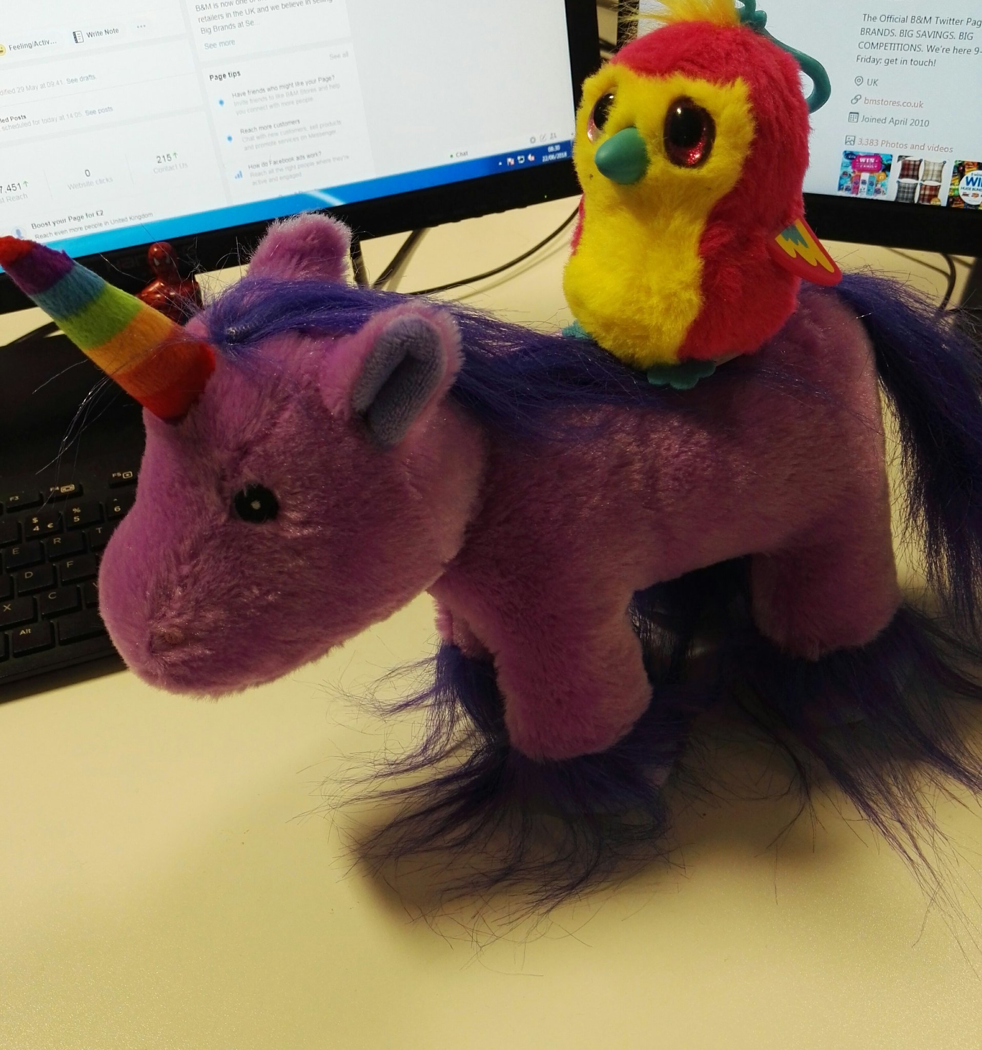 b&m unicorn teddy
