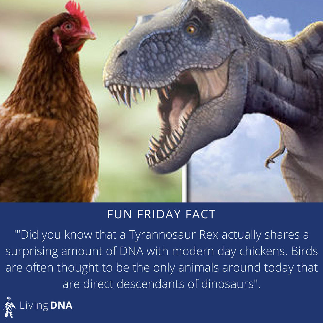 Descendants Of Dinosaurs