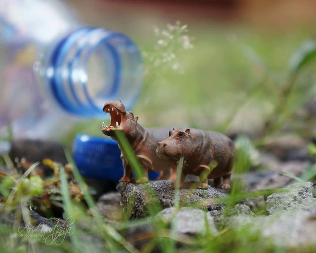 ari_nws's tweet photo. Wilderness
#tcb_allblack #imfc87_freeyeah #dm7287_beautyanimal #toygroup_alliance #toyartistry #kmfi #minifigureid #imfc87 #omof #toyphotography #justanothertoygroup  #toptoyphotos #btstp_id #sonynex5n #idmacro_mini #toydiscovery #igfotoys #idminifigures #smg_mf87 #exclusive… https://t.co/WXJDNcNZBt