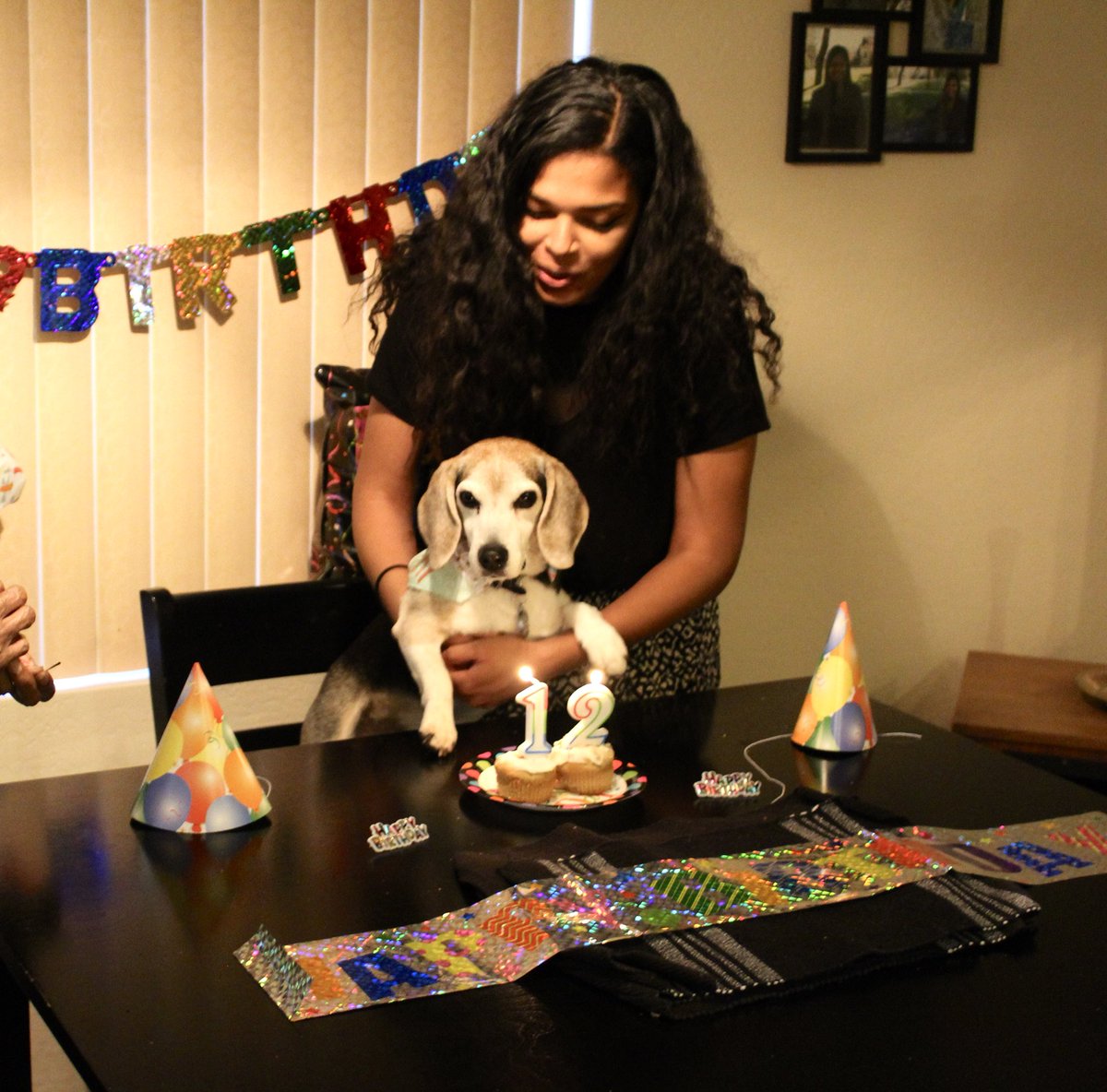 jamburrry's tweet photo. The Vet doesn’t think Sparky will make it another year- so I threw him the best 12th birthday today. Including a trip to PetSmart for a new toy and homemade dog cupcakes. Happy birthday bud 💙💙 https://t.co/PGfDYclQTE