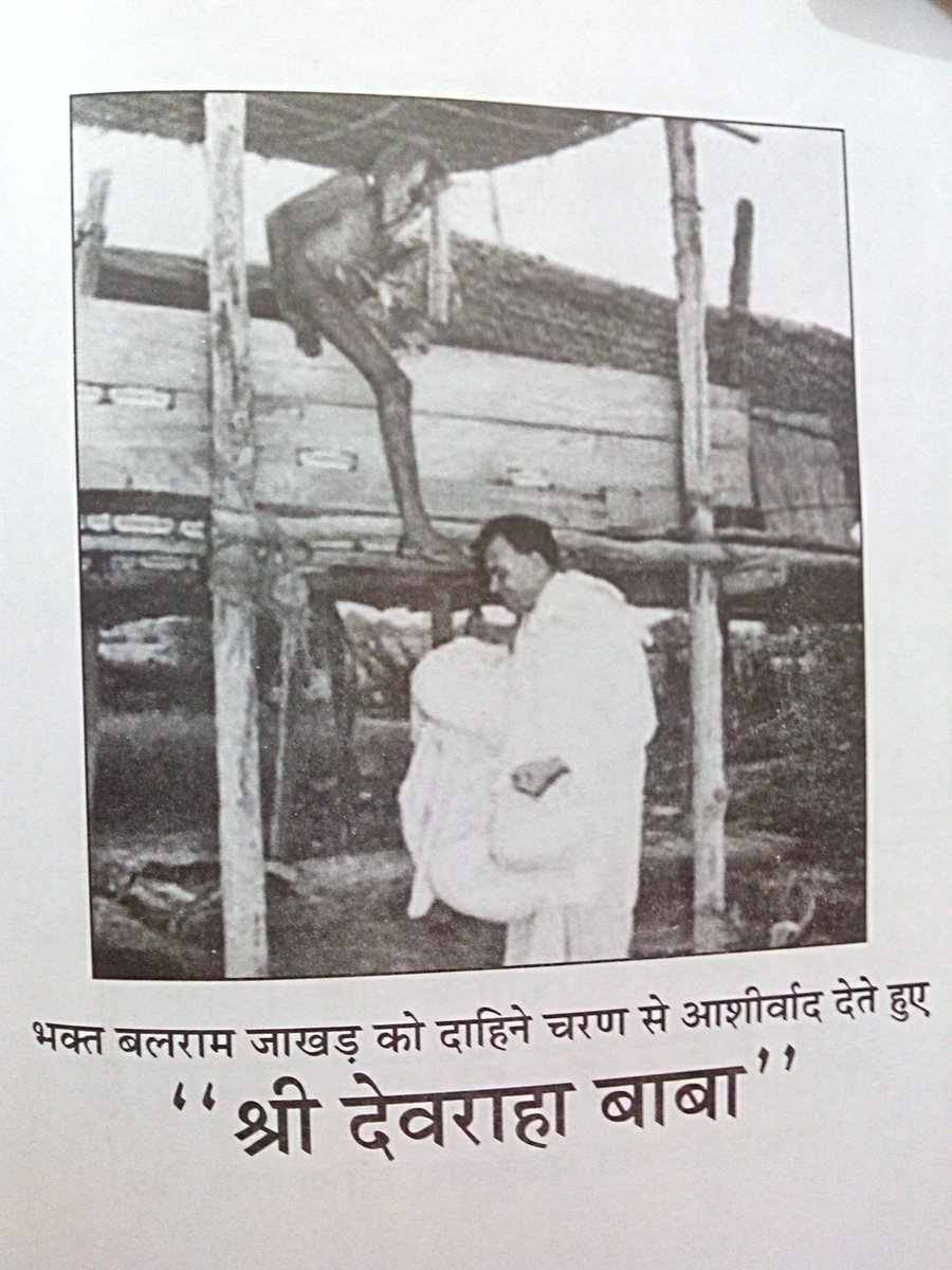 Save Gomata tweet media