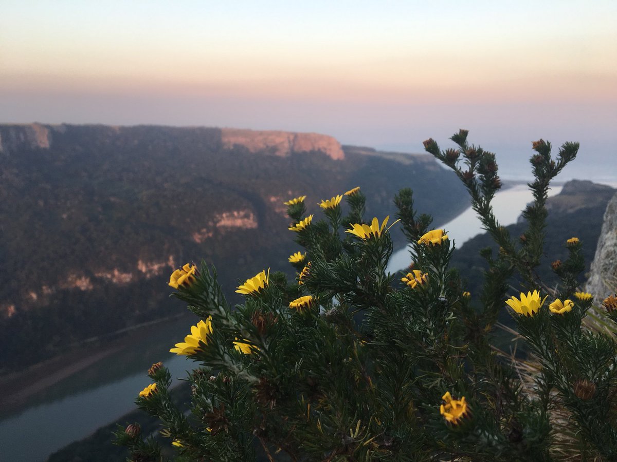 Nothing like an afternoon trip up to the airstrip to finish off a great day on the water! 
#sardinerun2018 #sardinerun #friends #sundowners #gettogether #puzathursday #nationalselfieday2018