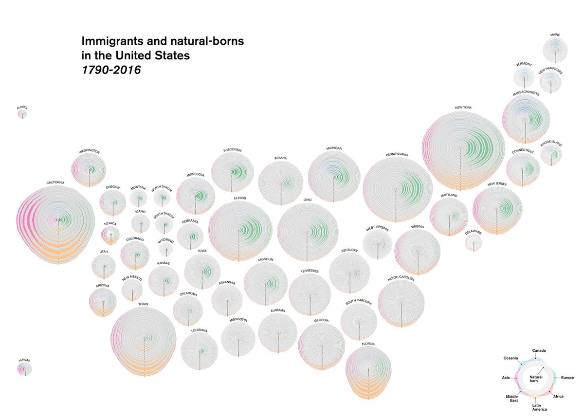 pmcruz's tweet photo. Immigration laid out per state, as tree rings. https://t.co/GW2F9Wf6CW