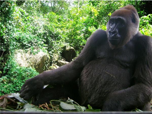 ERuDeF May Programmes' eNewsletter - mailchi.mp/381aa0ad95ed/g…