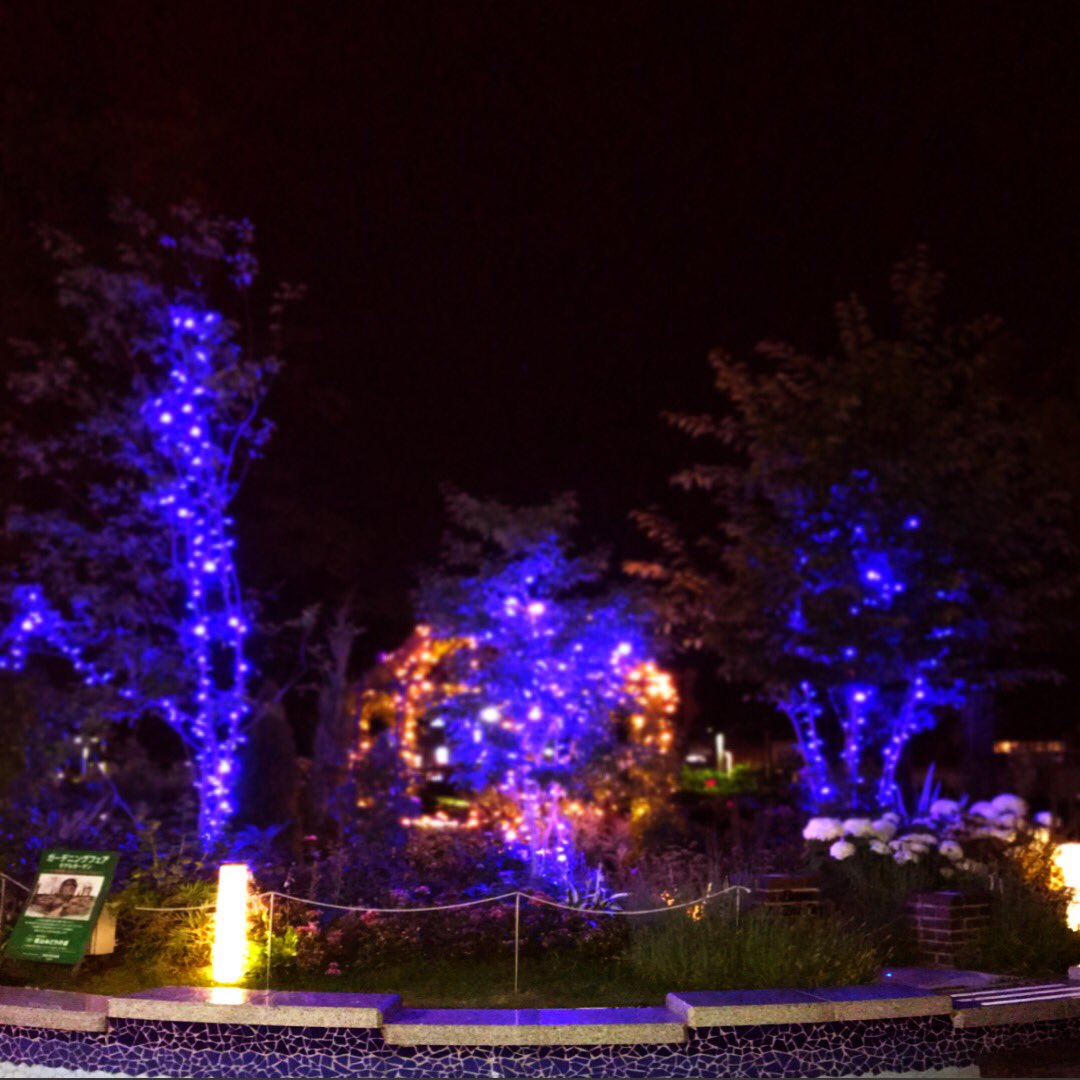 旋風の用心棒 相互フォロー募集中 Follow Help Ifb フォロバします Sur Twitter 加工してみました 福山市 広島県 ばら公園 ばら祭 薔薇 バラ イルミ イルミネーション 夜の公園 ムード 瀬戸内海沿岸 デート デートスポット 大都会 田舎