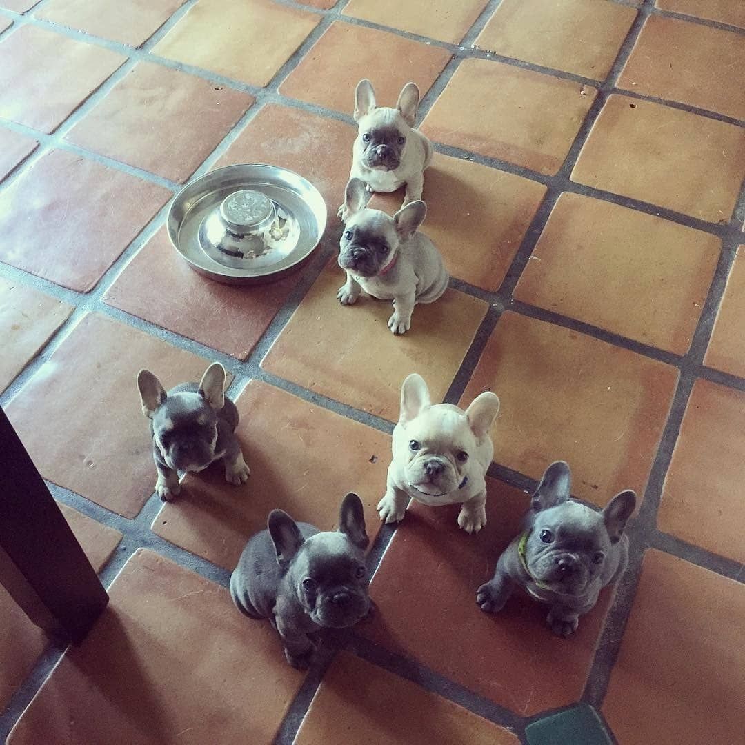 AndreiAndrei63's tweet photo. It's time to feed us. https://t.co/juB1wTfjhs