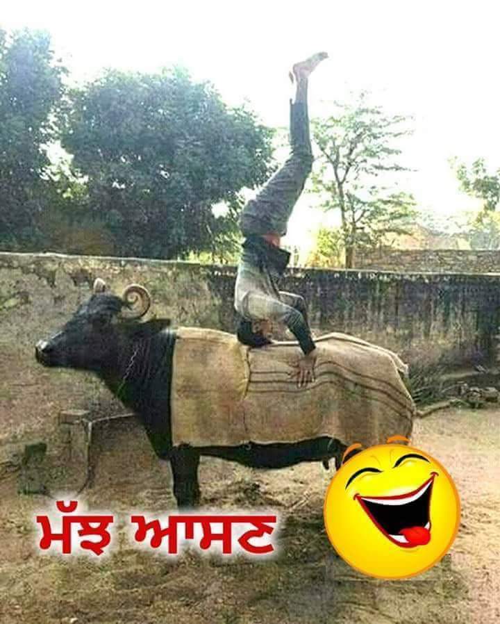Deepaka72978437's tweet photo. @TheLallantop #HumFitTohIndiaFit #InternationalYogaDay2018 https://t.co/xo8C2XGDeA