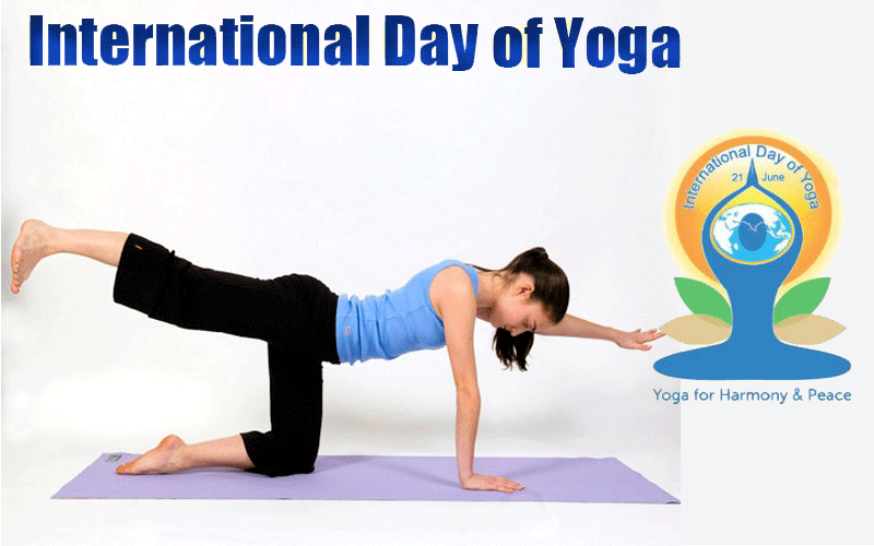 healthperfectin's tweet photo. International Yoga Day: 10 Benefits of Yoga, which Scientists believe to be correct
#internationalyogaday #yoga #healthnews #health #HealthPerfectInfo
https://t.co/Qo1myATrQN #InternationalYogaDay2018 #InternationalDayofYoga https://t.co/8SaKueXLt6