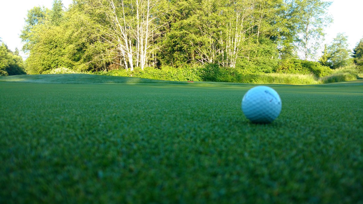 Shaun Reid tweet media