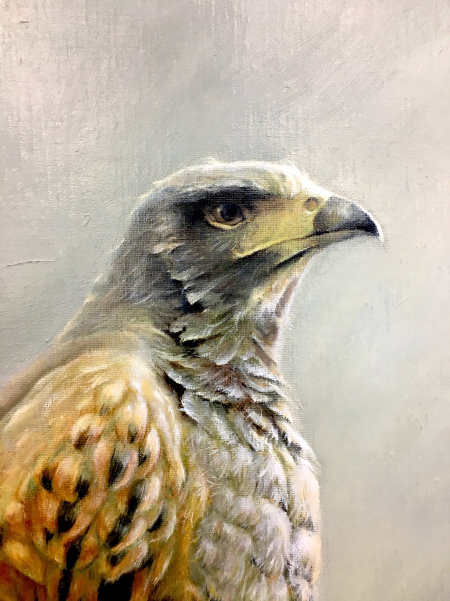 福島啓吾ｰKeigo Fukushima on X