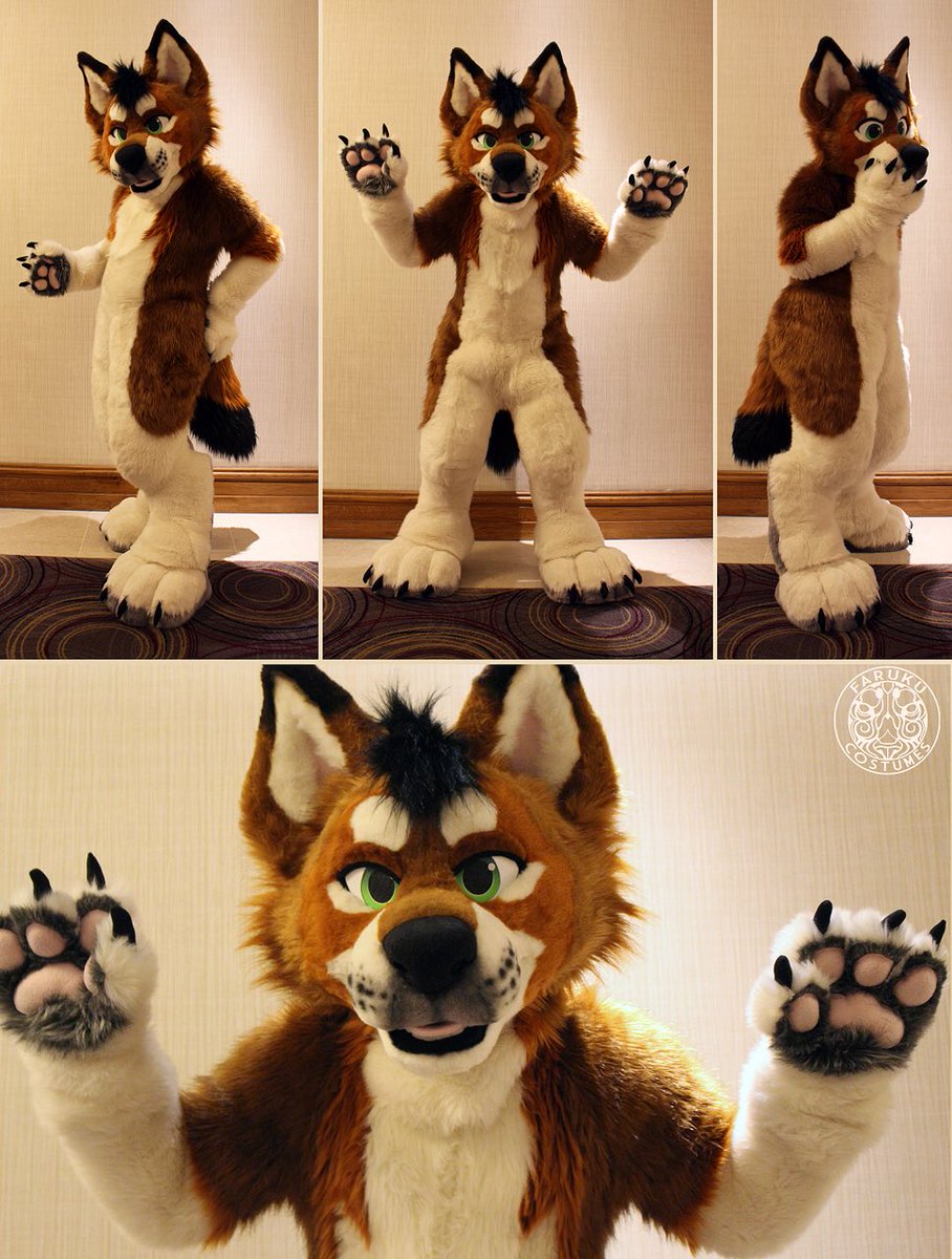 Rikes 🦈 鮫 tweet media