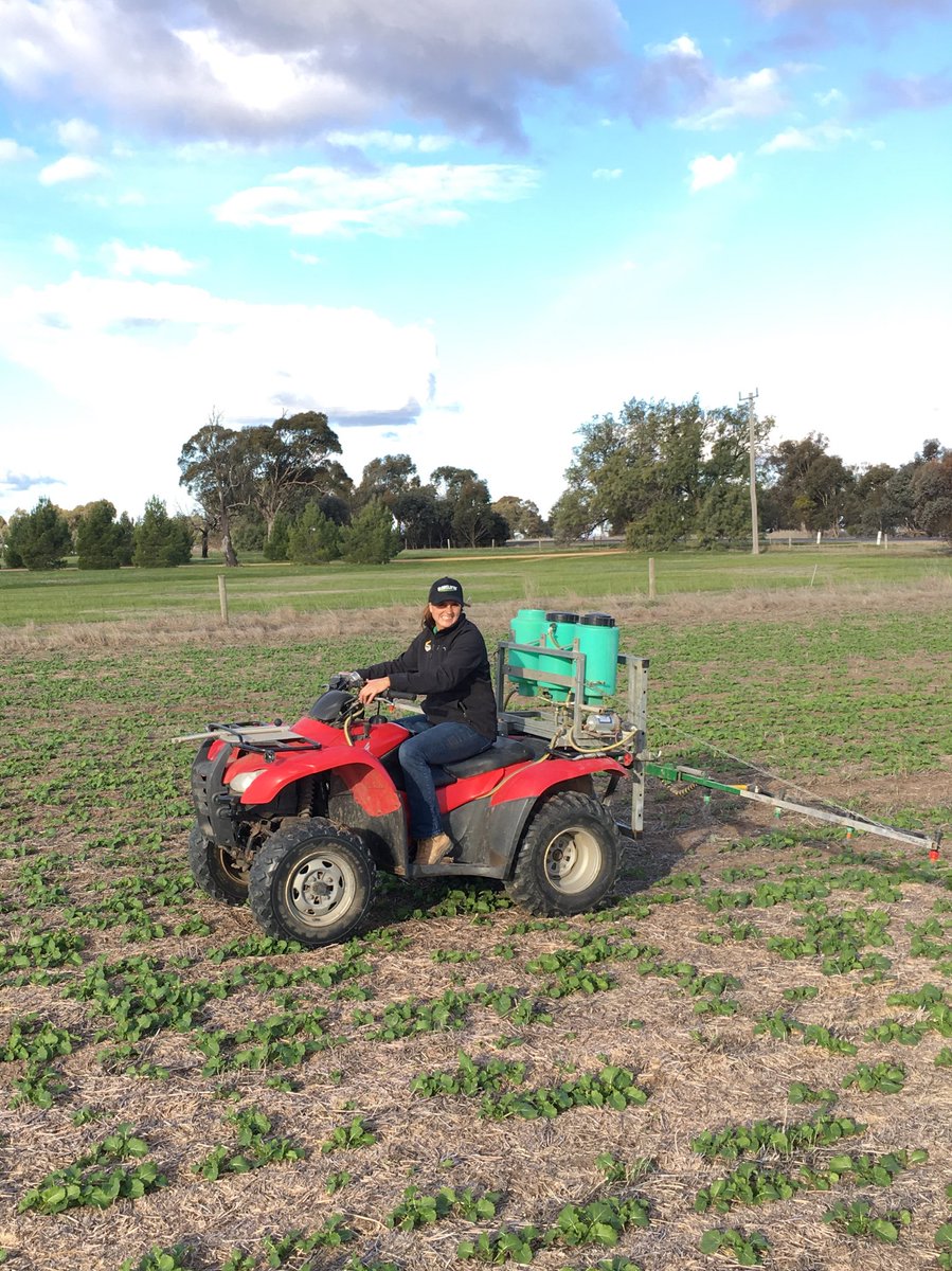 crop_opti's tweet photo. Larissa doing the trials spraying duties on her birthday. We’re aiming to see some results from Loveland nutrition brews on this nice looking canola crop. https://t.co/wPhIVMBsDU