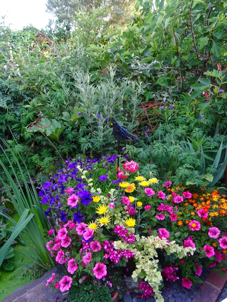 Around the garden entrance and the pond this morning! driftwoodbysea.co.uk #charity #sussex