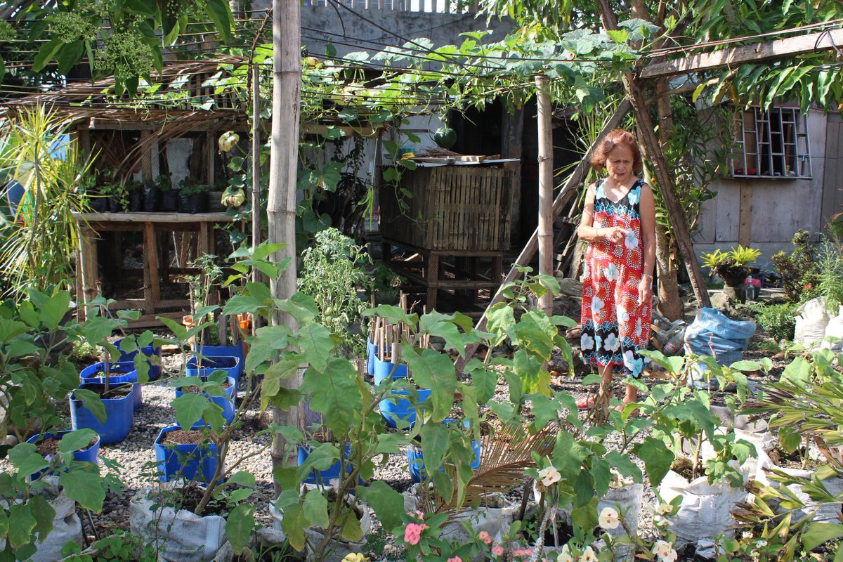 Fao Philippines On Twitter Fao S Integrated Food Production