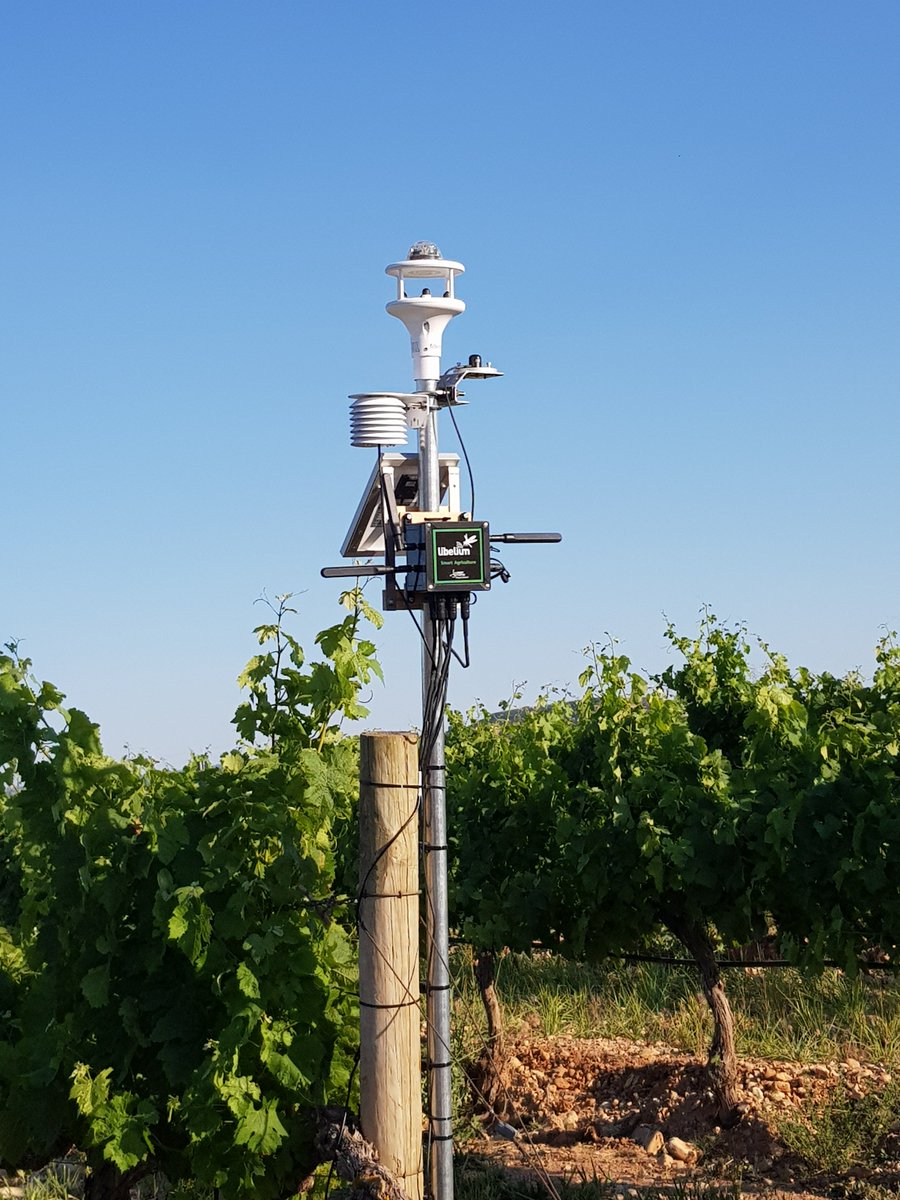 MihaelaBalanes1's tweet image. Applied Smart Agriculture at Ayles vineyard, Zaragosa, #LibeliumIoTConference, @ESTABLISH_ITEA, @WINSHI_Project, @telmonaer, #IoT