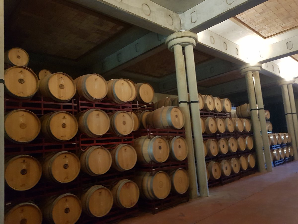 MihaelaBalanes1's tweet image. Applied Smart Agriculture at Ayles vineyard, Zaragosa, #LibeliumIoTConference, @ESTABLISH_ITEA, @WINSHI_Project, @telmonaer, #IoT