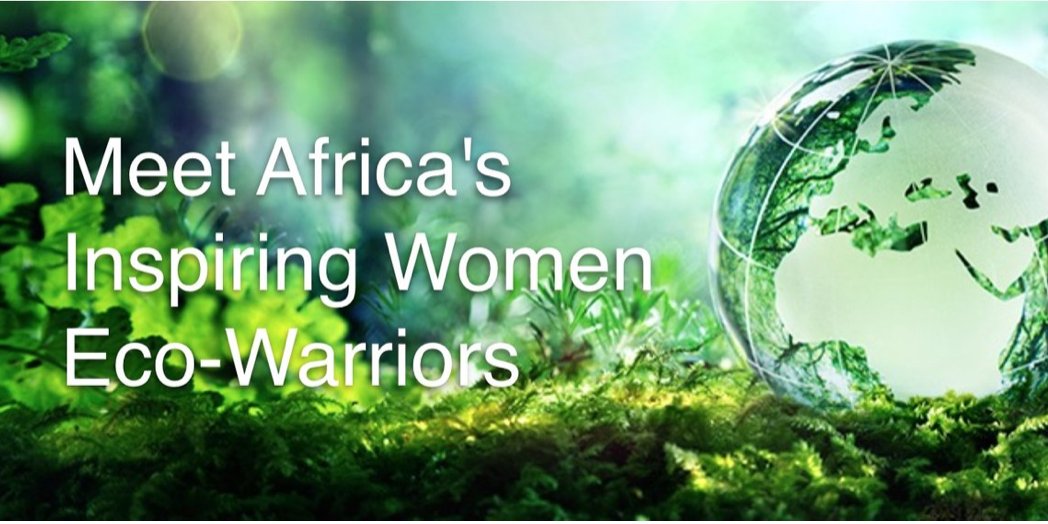 lionessesA's tweet photo. Meet 21 innovative women eco-preneurs turning environmental challenges into sustainable businesses in Africa #Ecopreneurs #environmentchallenge #environmentpollution https://t.co/5exPlJJkxi https://t.co/pBBF6Btuuo