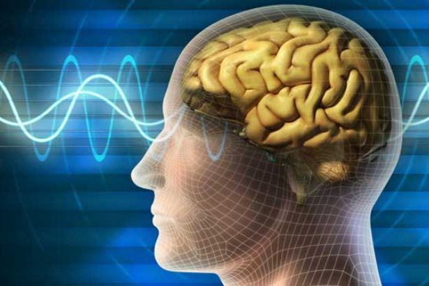 Duyguların beyindeki yerleşimi
haber.sol.org.tr/bilim/duygular…