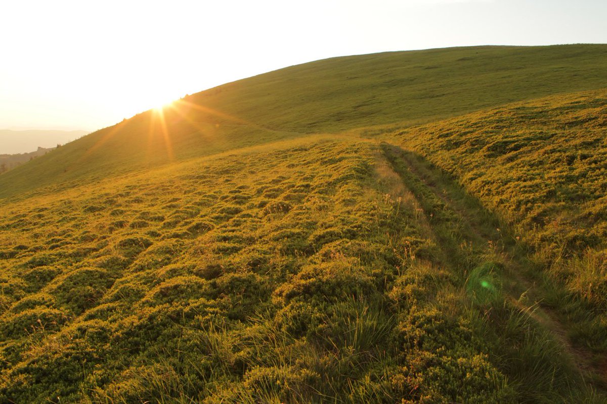 EasyEnglishUA's tweet image. 🇬🇧Difficult paths lead to wonderful destinations.
* lead [led] 1) вести, приводити 2) керувати, очолювати
* destination [ˌdestɪ'neɪʃ(ə)n] 1) призначення; доля 2) місце призначення

🇺🇦Важкі шляхи ведуть до чудових напрямків.
....На фото: Боржавський хребет у Карпатах. 😍❤