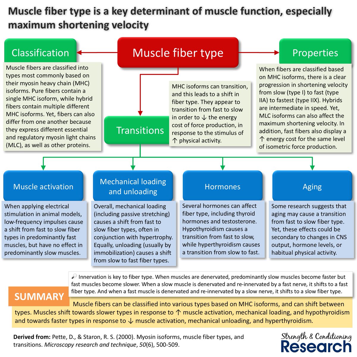 MICROSCOPY RESEARCH AND TECHNIQUE PDF MICROSCOPY RESEARCH AND TECHNIQUE PDF