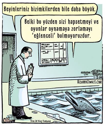 dusunbildergisi's tweet photo. #yunus #hapis #eğlence https://t.co/sVBkuMnvPX