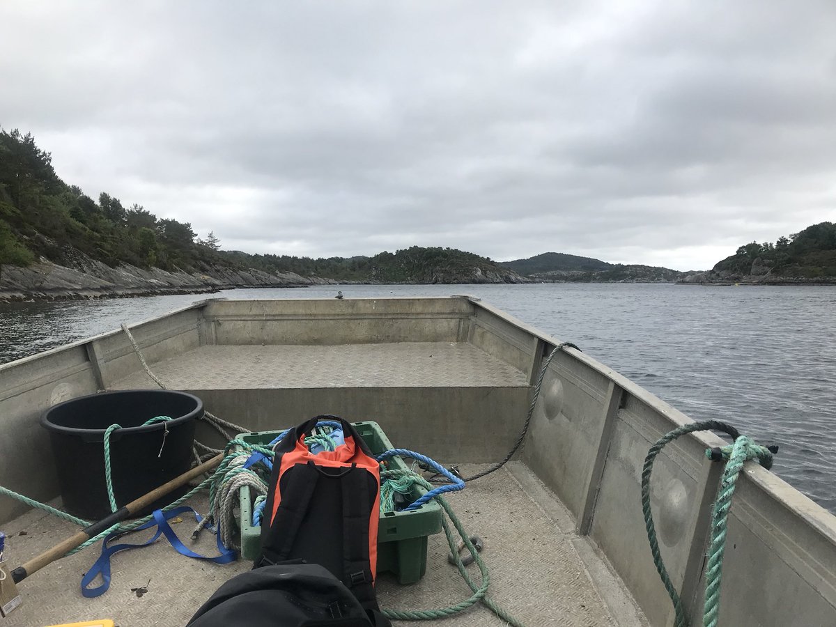 Just another day at the farm deploying equipment with <a href="/aquabyteai/">Aquabyte</a> #salmonvision #hordalandfiskeoppdrett #beautifulnorway