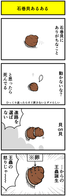 デルマな日常 を含むマンガ一覧 7ページ ツイコミ 仮