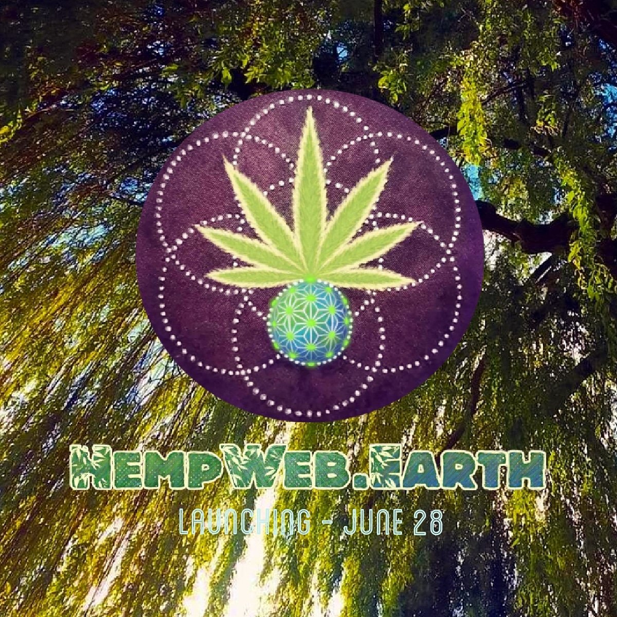 HWE_HQ's tweet photo. 🌿🕸🌏 https://t.co/utmJvd3gqT 🌿🕸🌏

CONNECTING THE DOTS OF THE GLOBAL HEMP INDUSTRY

• Free-to-Use &amp; Free-to-List Directory Service 

• Hemp &amp; Earth-Conscious Community Forums

• FREE ADVERTISING FOR THE ENTIRE HEMP INDUSTRY!

#hemp #hempwebearth #industrialhemp #cannabis https://t.co/fKwHzVKRs3