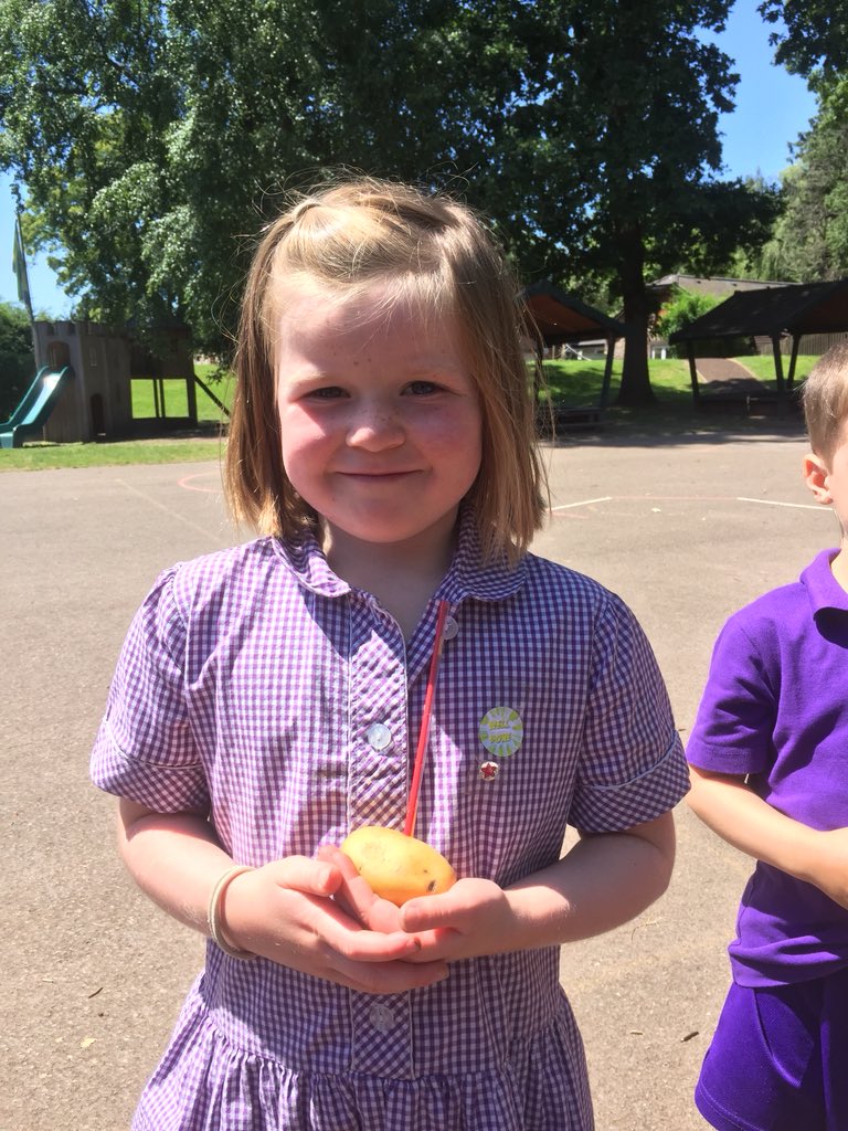 MonSchPrePrep's tweet image. Year 1 and Reception are mastering Damian’s potato trick! @mfswimming #tricksofthetrade @Habsmonmouth