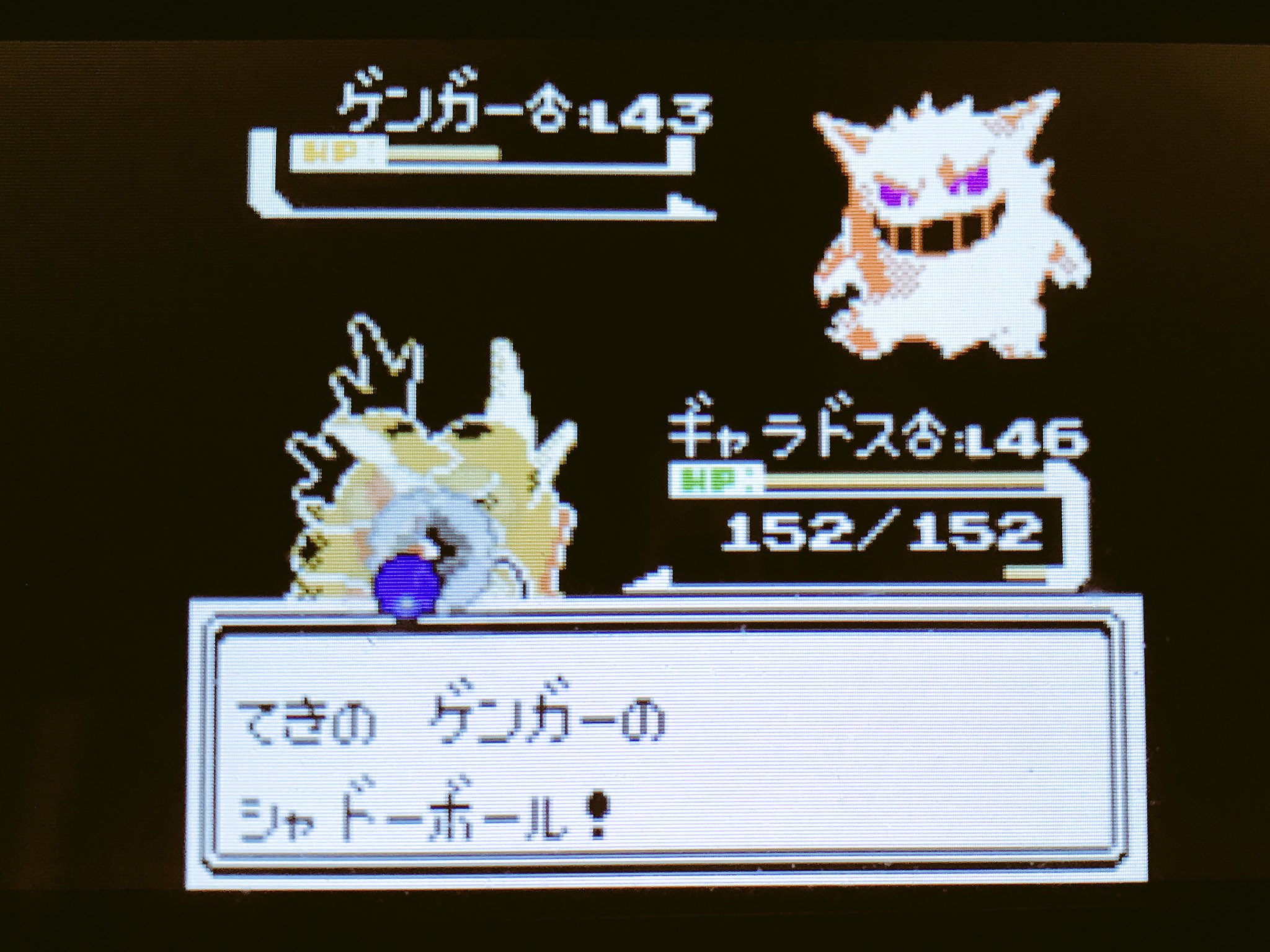 Dim おつきみやまでのライバル戦 ポケモン金銀 T Co Simouw7av3 Twitter