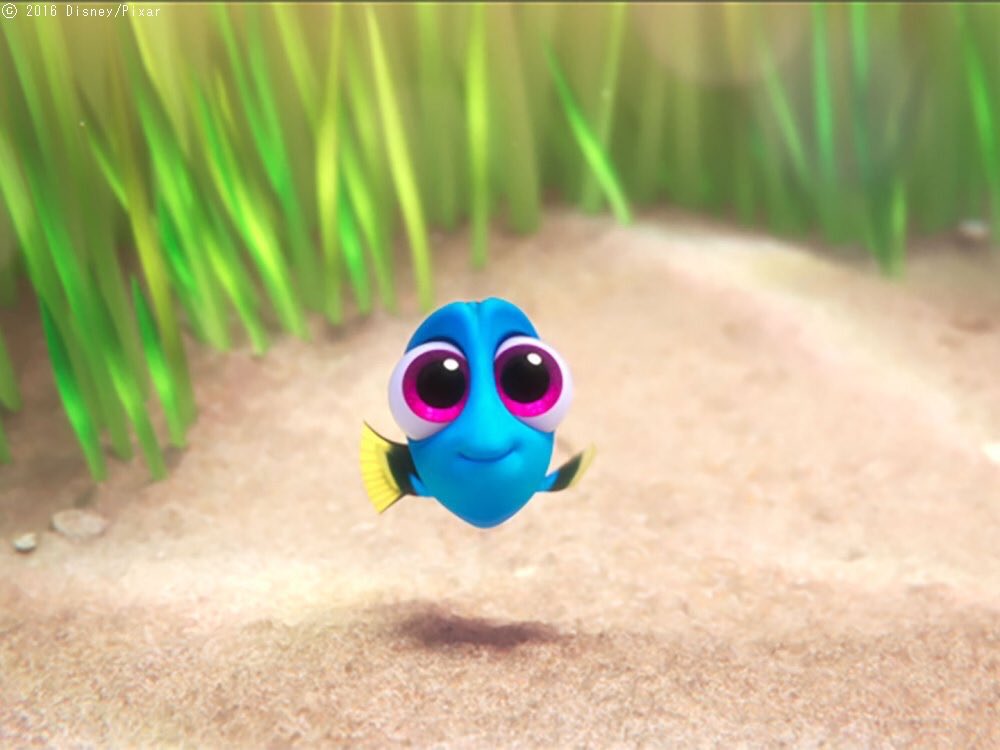 توییتر アンク 金曜ロードショー公式 در توییتر 子どもドリーさん 砂って好き ベトベトしてて 可愛いですぅーーー 砂って好き ドリー 忘れん坊 ファインディングドリー ディズニー Kinro T Co Cirexe2avo توییتر アンク 金曜ロードショー公式 در توییتر 子どもドリーさん 砂って好き ベトベトしてて 可愛いですぅーーー 砂って好き ドリー 忘れん坊 ファインディングドリー ディズニー Kinro T Co Cirexe2avo