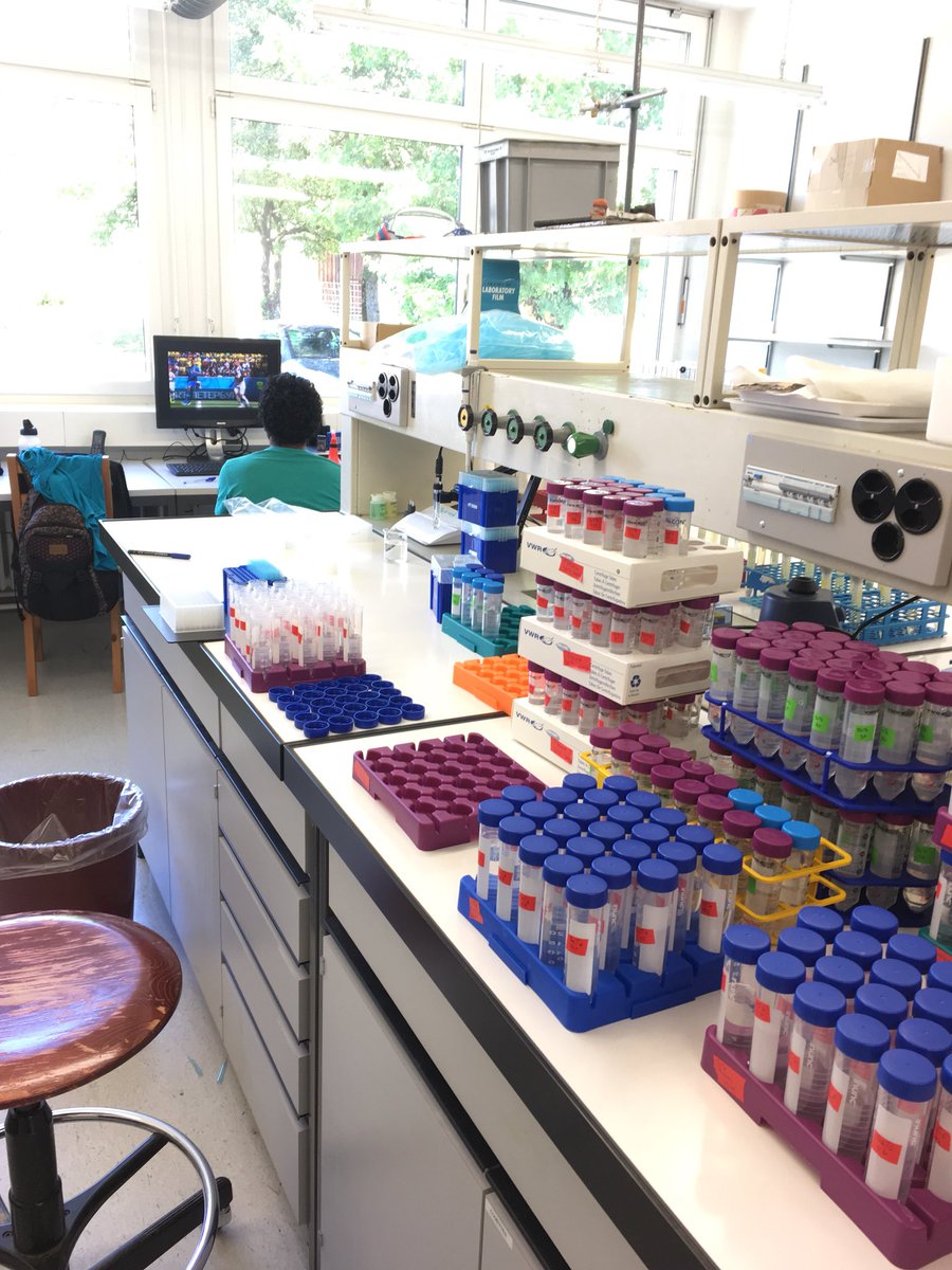 The best place to watch the world cup game... #WorldCup #BRACRC #sqn