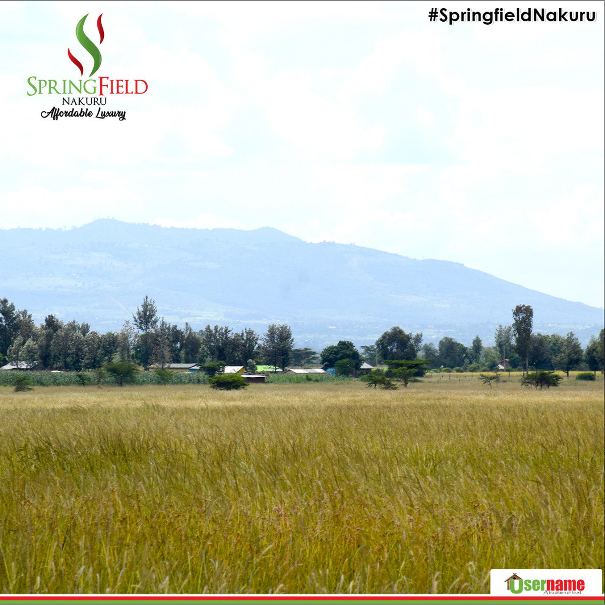 usernameltd's tweet photo. Introducing our newest project, #SpringfieldNakuru, now selling at Ksh 429,000 only for an 1/8th acre plot.
Special offer of Kshs. 399,000 only for the first 100 cash buyers! To view, join us for our OPEN DAY on Sat. 30th June, 2018, text 'NAKURU' to 20321 / call 0725000222 https://t.co/XIGynkKQgw