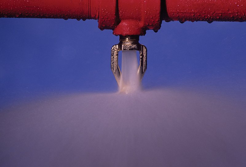 Business Sprinkler Alliance tweet media