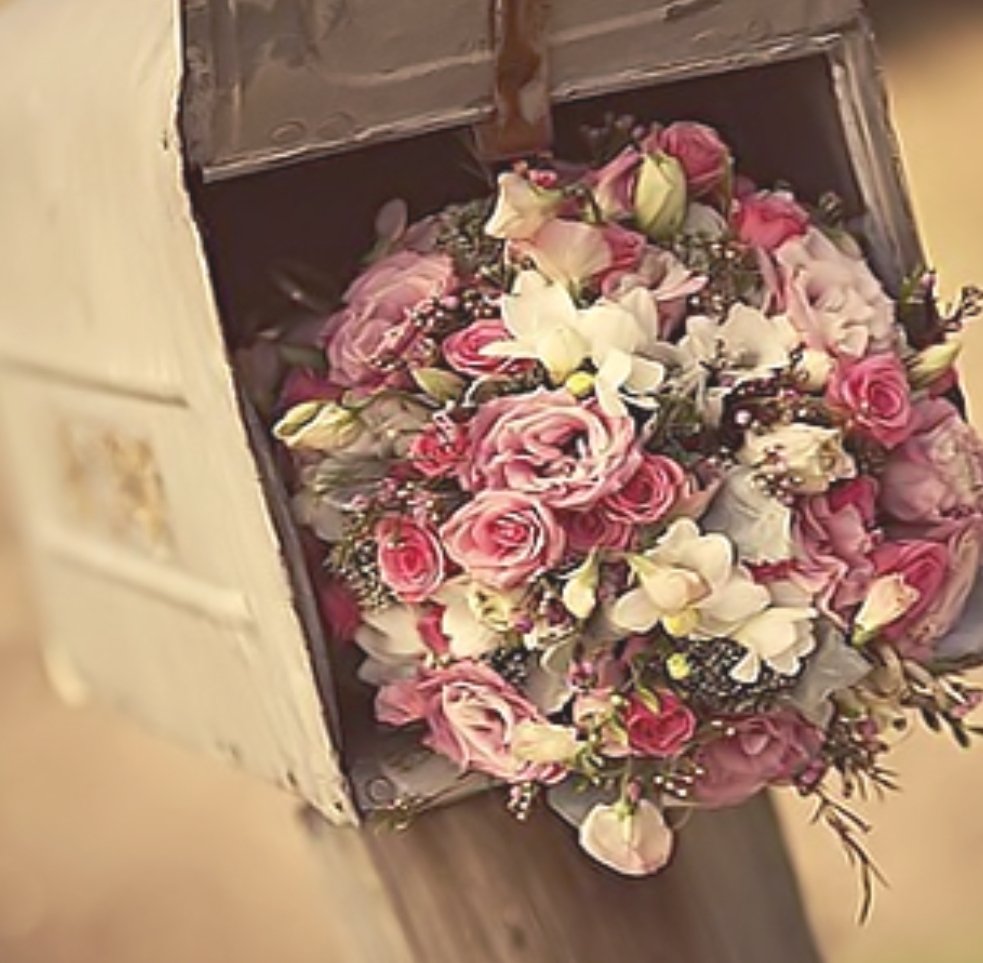 أم زياد.. دخول متقطع جدًا جداً ✋ 🌹🌱 (@mh200922) on Twitter photo <a href="/fooof_1010/">..الثريا👸🏼💛اخت الجميع</a> @mrrd9819 <a href="/tt_nn7/">#غيوم_صامتة🇸🇦</a> <a href="/alanoud888d/">الــ؏نـود⚘️</a> <a href="/algnnh78/">💎جمال الحياة بذكر الله◇2💎</a> @hana3azam <a href="/l_altoaimi/">لطيفة الطعيمي</a> <a href="/KsaKiwi/">الماسه</a> <a href="/5JRose/">الجوري</a> <a href="/haaya1312/">هيا سعد</a> <a href="/bosyzezo1/">الخنساء✒️</a> <a href="/jorii_37/">☆ الشاااامخة ☆</a> <a href="/hno55r_aa7/">💙همس الغلا💙</a> @omlugin20121 <a href="/slhahh/">Shah 💎</a> مسائك أجمل بنت شيوخ
مساء الورد باأهل الورد وأطيابه🌼🌻🎂 <a href="/fooof_1010/">..الثريا👸🏼💛اخت الجميع</a> @mrrd9819 <a href="/tt_nn7/">#غيوم_صامتة🇸🇦</a> <a href="/alanoud888d/">الــ؏نـود⚘️</a> <a href="/algnnh78/">💎جمال الحياة بذكر الله◇2💎</a> @hana3azam <a href="/l_altoaimi/">لطيفة الطعيمي</a> <a href="/KsaKiwi/">الماسه</a> <a href="/5JRose/">الجوري</a> <a href="/haaya1312/">هيا سعد</a> <a href="/bosyzezo1/">الخنساء✒️</a> <a href="/jorii_37/">☆ الشاااامخة ☆</a> <a href="/hno55r_aa7/">💙همس الغلا💙</a> @omlugin20121 <a href="/slhahh/">Shah 💎</a> مسائك أجمل بنت شيوخ
مساء الورد باأهل الورد وأطيابه🌼🌻🎂