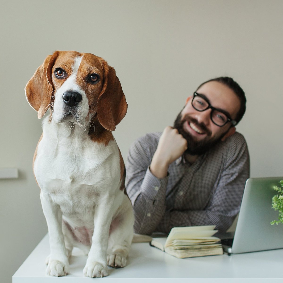 NoNetz Inc tweet media