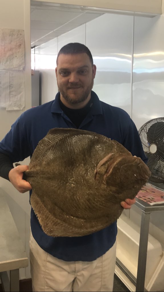 What a beast of a Turbot!!!!! #BeckBromFL #Bromley #EatMoreFish