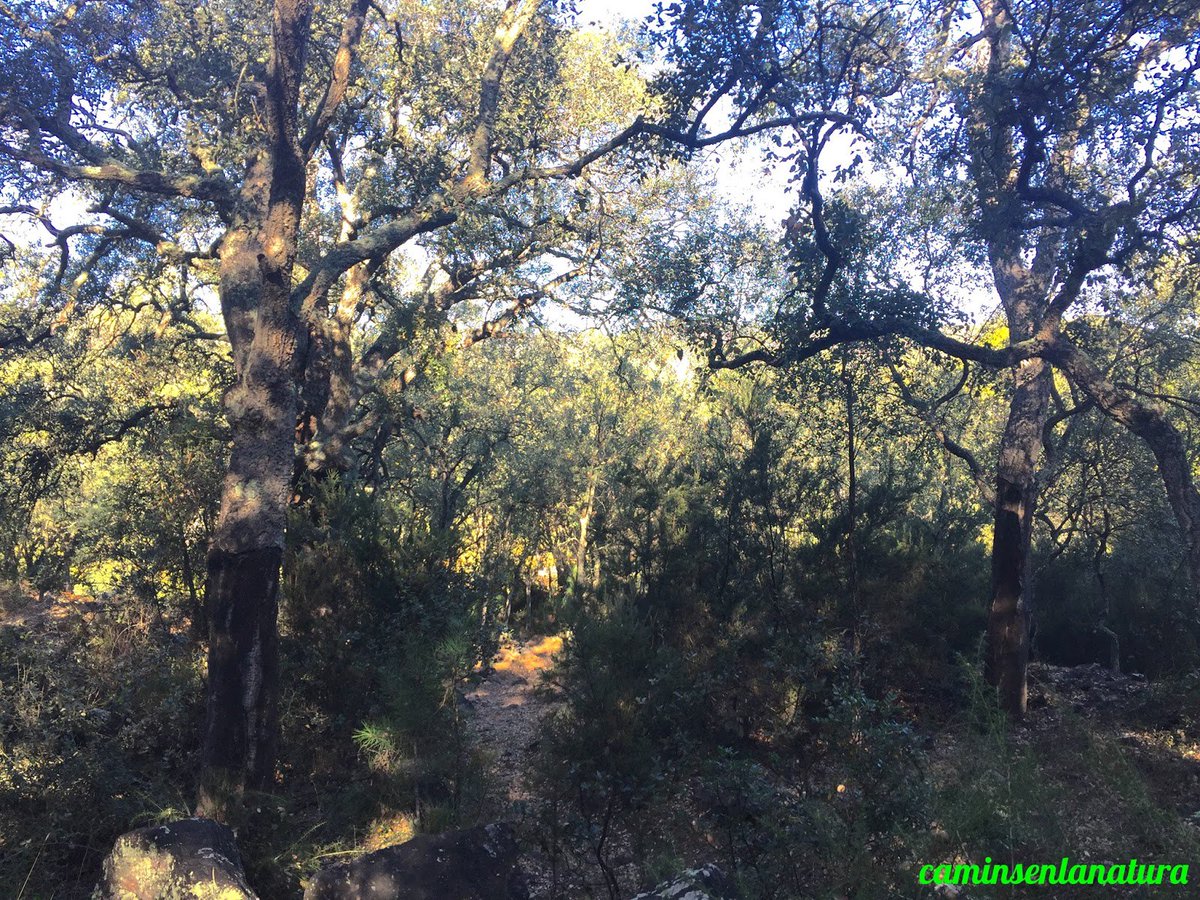 🔴 Idees per al cap de setmana...
D'#Artesa al Montí i a la caseta de Marimon, excursió circular per la comarca de la #PlanaBaixa, tot i que de plana en té ben poc ⛰
caminsenlanatura.blogspot.com/2018/02/artesa…