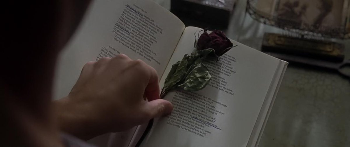 thegreenmailman's tweet photo. 🎥"Little Children" (2006), by Todd Field
Cinema Objects
#cinemaobjects #movieobjects #props #screencaps #caps #littlechildren #toddfield #katewinslet #jenniferconnelly #patrickwilson #jackieearlehaley #noahemmerich #phyllissommerville #janeadams #greggedelman #raymondjbarry https://t.co/9M9olf114n
